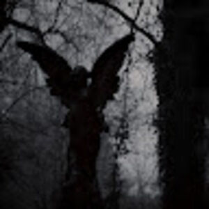 Meet your Posher, Destiny